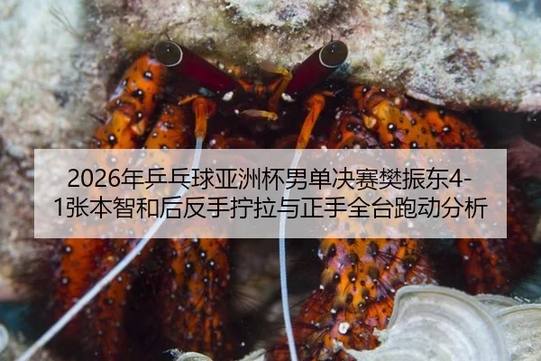2026年乒乓球亚洲杯男单决赛樊振东4-1张本智和后反手拧拉与正手全台跑动分析